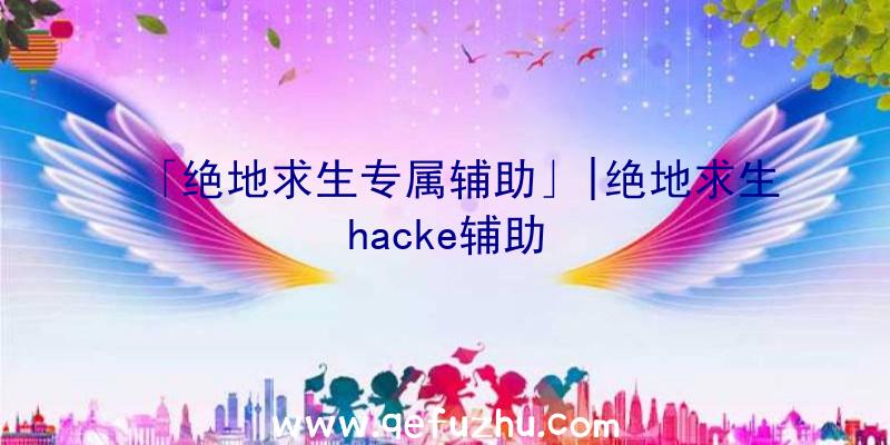 「绝地求生专属辅助」|绝地求生hacke辅助